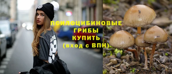 твердый Балахна