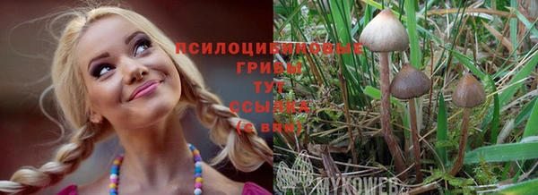 каннабис Баксан